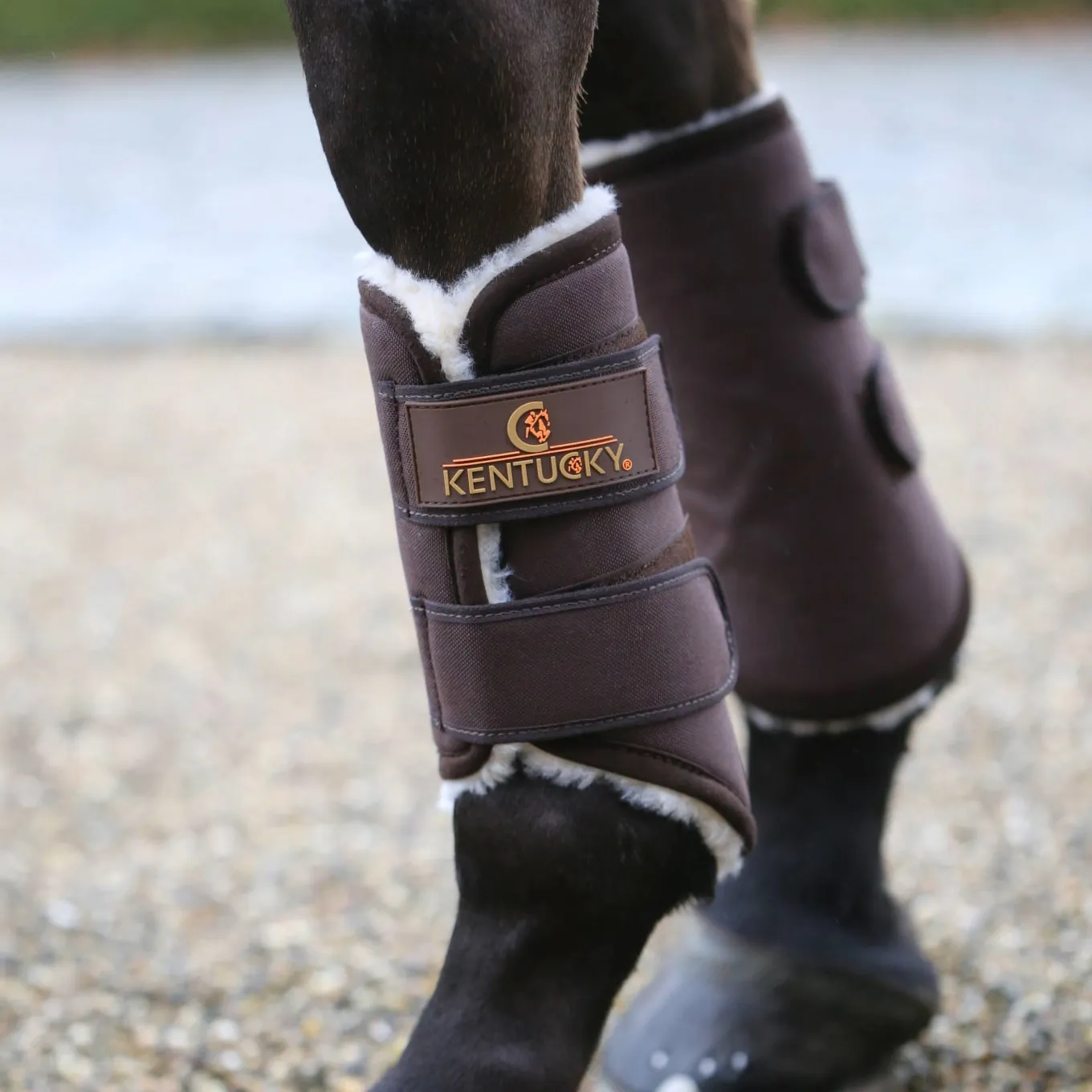 Kentucky Horsewear Solimbra Brushing Boots Front - Brown