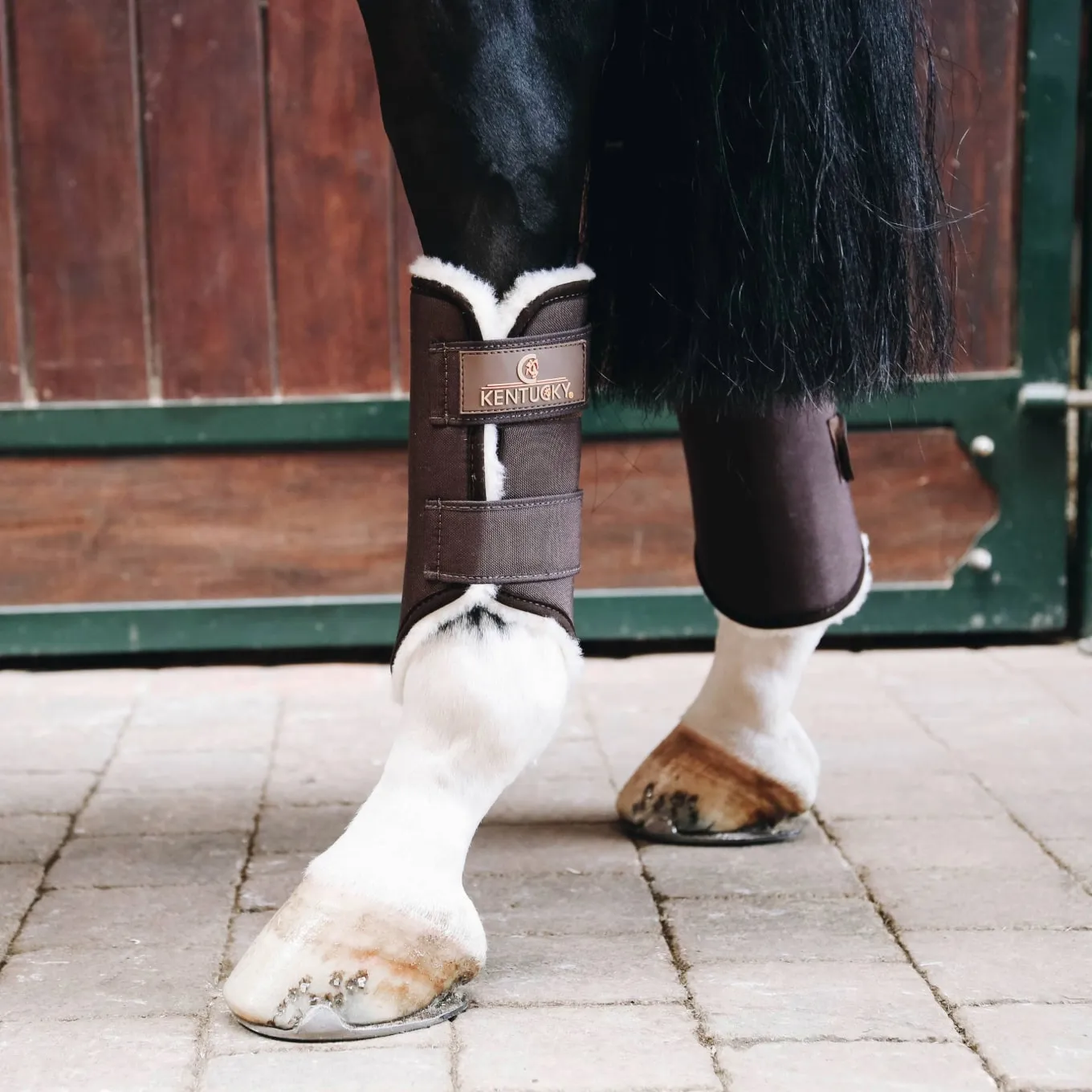 Kentucky Horsewear Solimbra Brushing Boots Front - Brown